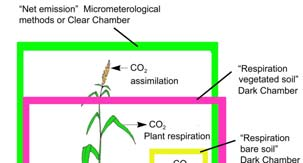 Gasflöden i myrmarker (CO 2 koldioxid, CH 4 metan, N 2 O lustgas) Gasflöden i myrmarker (CO 2 koldioxid, CH 4 metan, N 2 O lustgas) Orörda myrmarker Koldioxidsänkor CO 2 CO 2 CH 4 N 2 O