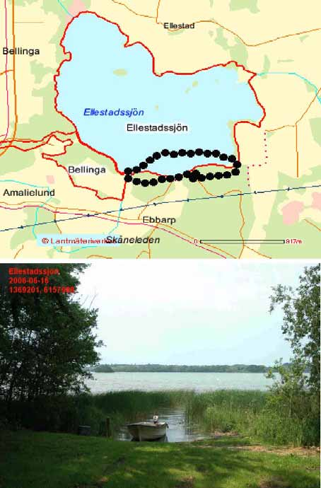 Ellestadssjön SE0430136, RN koord: 6157988 1369201 Inventeringsdatum: 16/6,