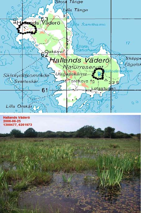 Hallands Väderö SE0420002, RN koord: 6261973 1300477 Inventeringsdatum: 25/6 Inventerad