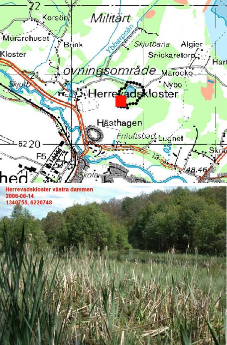 Herrevadskloster SE0420287, RN koord: 6220733 1340754 Inventeringsdatum: 14/6, 2/9 Inventerad lokal: Herrevadskloster.