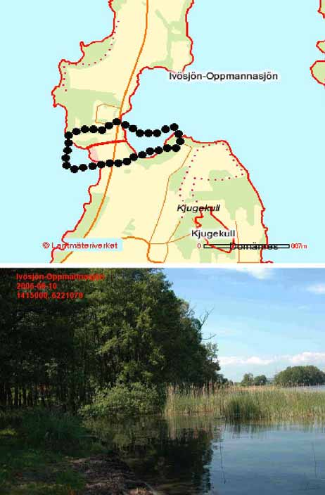 Ivösjön Oppmannasjön SE0420319, RN koord: 6221070 1415000 Inventeringsdatum: 10/6, 30/6