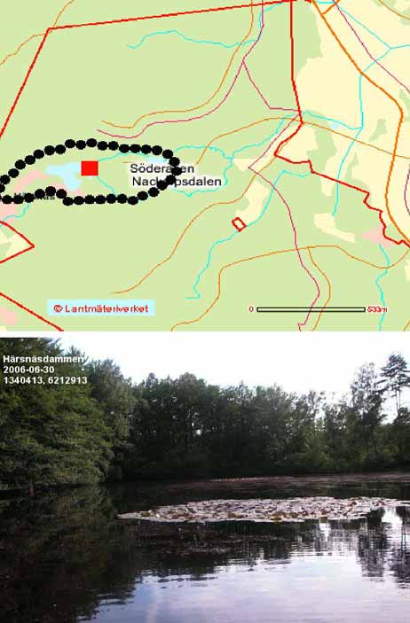 Nackarpsdalen SE0430108, RN koord: 6212913 1340413 Inventeringsdatum: 14/6, 30/6 Inventerad lokal: Härsnäsdammen. Damm.