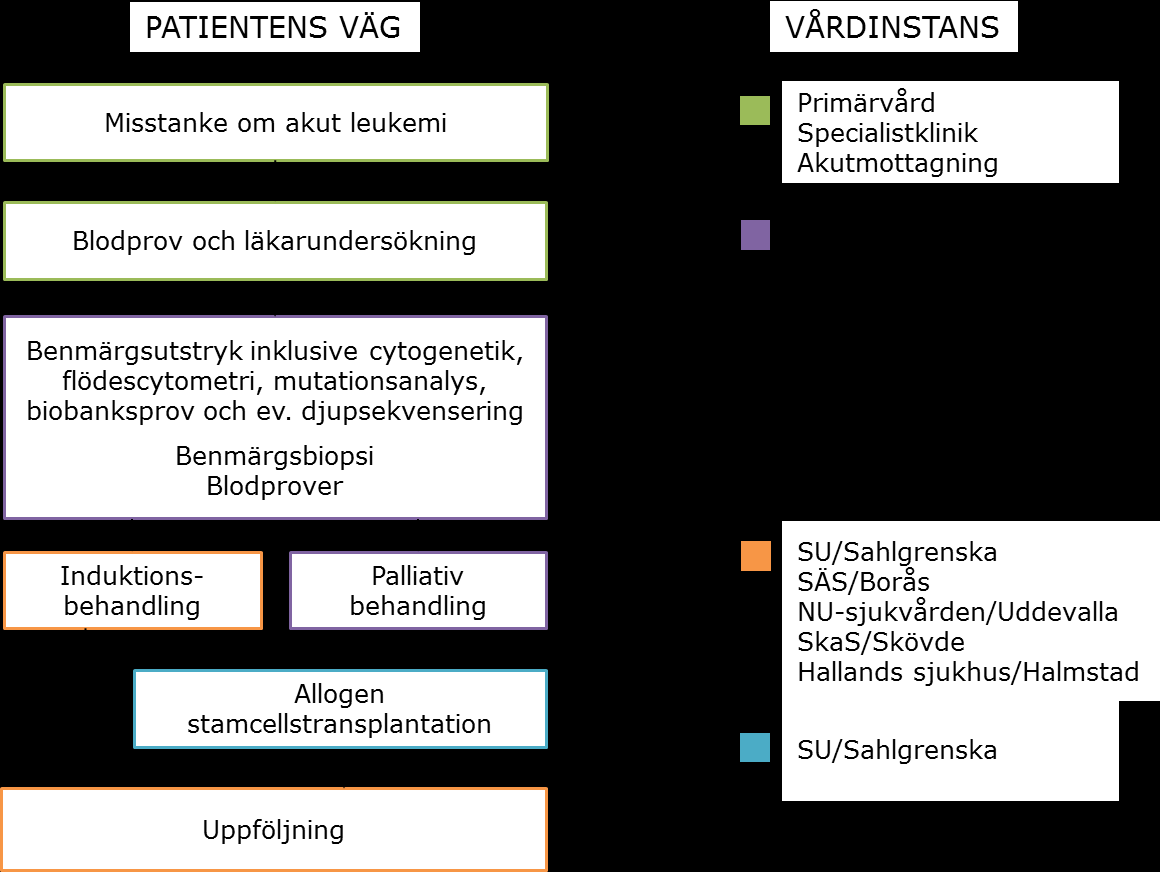 3. PATIENTENS VÄG GENOM VÅRDEN Här presenteras en beskrivning av hur patienternas väg genom vården ser ut för patienter i Västra sjukvårdsregionen med akut leukemi.