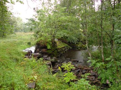 Norr om dammvallen är dammen. Åtgärdsförslag: Riva ut dammanläggningen alternativt enbart luckan och, i sådana fall säkerställa vandring runt dammen.