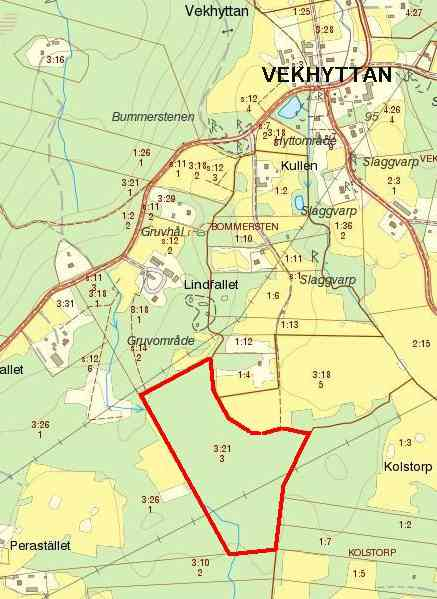 9,5 HA SKOG