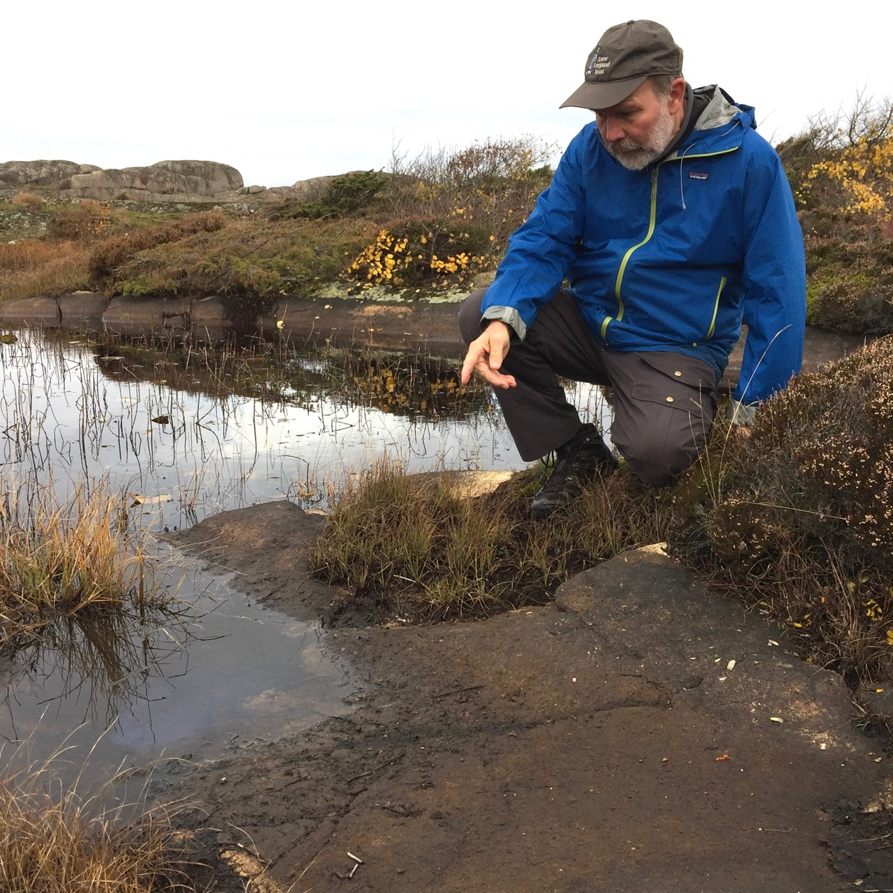 Naturvårdsutlåtande 2 djupare vatten. Grodorna går upp på land lite tidigare än salamandrarna vilka ibland kan stanna kvar i dammarna ända till hösten.