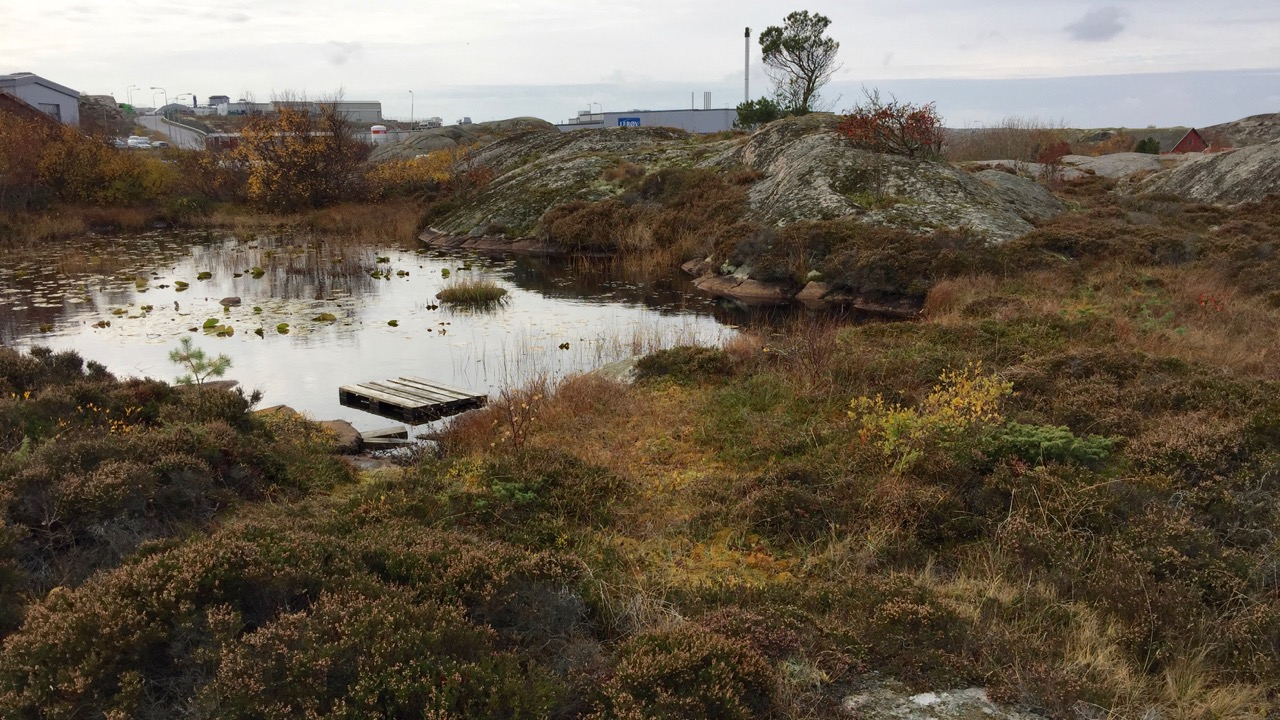 3 skärm anläggas (gul linje på kartan visar). Denna bör ha u-formade ändar, som hindrar djuren att ta sig förbi skärmen.