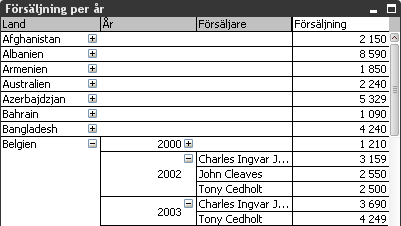 PIVOTTABELLER OCH RAKA TABELLER 4 Klicka på plustecknen i cellerna 2002 och 2003. Figur 22.