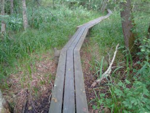 Inventeringsrapport Aspens naturstig 10 HUR SER NATURSTIGEN UT? Hågelbyparken - Ekholmens naturreservat Vid Hågelbyparken är marken platt och underlaget bra. Vägen mot Botkyrka ridsällskap likaså.