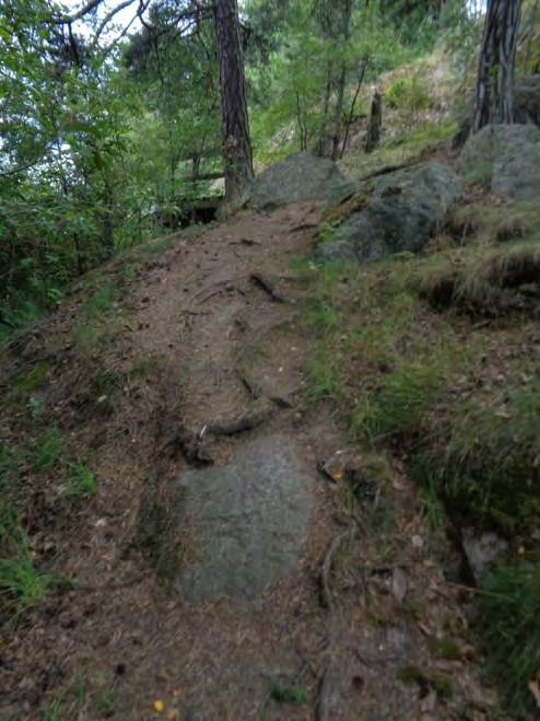 Inventeringsrapport Aspens naturstig 11 HUR SER NATURSTIGEN UT?