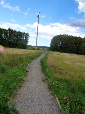 Inventeringsrapport Aspens naturstig 12 HUR SER NATURSTIGEN UT? Söder om Lindhovs gård Stigen söder om Lindhovs gård är markerad som lätt ända tills däckspången slutar.