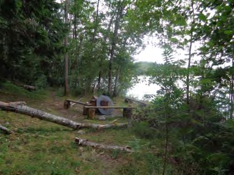 I Ekholmens naturreservat finns bänkar vid två ställen (bild 39). Bänkarna är bra utformade förutom att de vid båda ställena saknar ryggstöd.