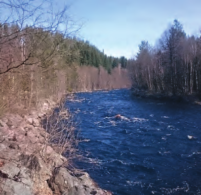 Förankrad arbetsmetodik i Härjedalen Många vattendrag i Ljusnans avrinningsområde har idag bra vattenkvalitet när man pratar om dess renhet, dock är fauna n i vatten dragen ändå inte alltid välmående.