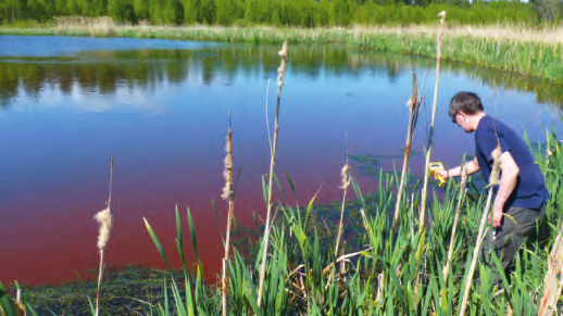 Vattenföringsmätningar i vattenvårdsarbetet Vattnet på vår jord förflyttar sig, både på ytan och i marken.