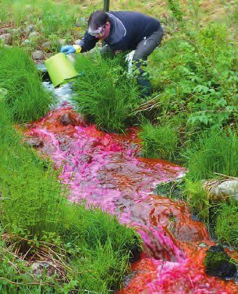 Nyanställd hydrolog verksamheten breddas Förbundet har fått en ny resurs i hydrologen Tony Persson.