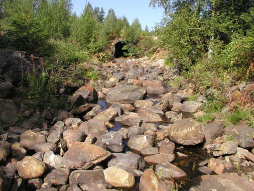 Denna åtgärden och överfallströskeln i Långsjöns utlopp gjordes utan bidrag för biologisk återställning.