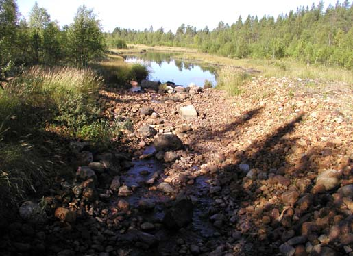 2006 åtgärdades även dammen i Karlstjärnen (ID 4, bild 8 och 9) genom att dämmande sättar ersattes av en överfallströskel. En viss justering av tröskeln återstår att göra. Karlsbäcken Bild 1.