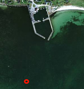 FIGUR 1. Ungefärlig provtagningspunkt för sediment (röd oval) ca 280 m ut från inloppet till Skåre hamn (Eniro-bild).. 4.