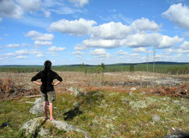 Omgivande landskap En del områden i Orsa kommun ligger vid gränsen till Rättvik och blir därmed viktiga pusselbitar som kan stärka naturskogsvärdena i Rättviks kommun och vice versa.