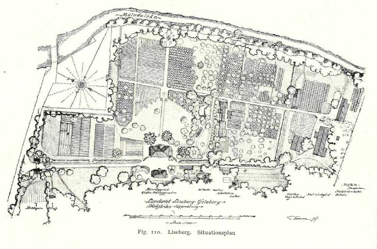 Lisebergs landeri,