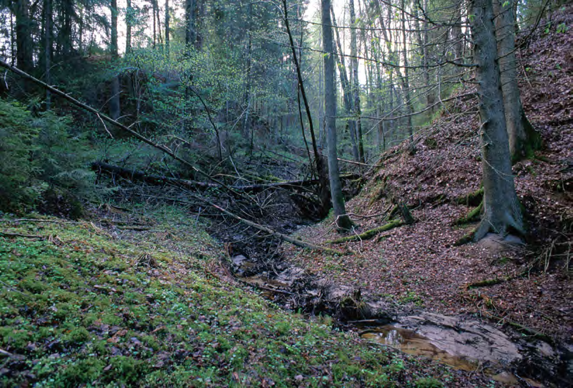 5.2 Naturmiljöer samt växt- och djurliv Nuläge Botkyrkas naturmiljöer karaktäriseras av ett varierande skogslandskap och ett öppet kulturlandskap.