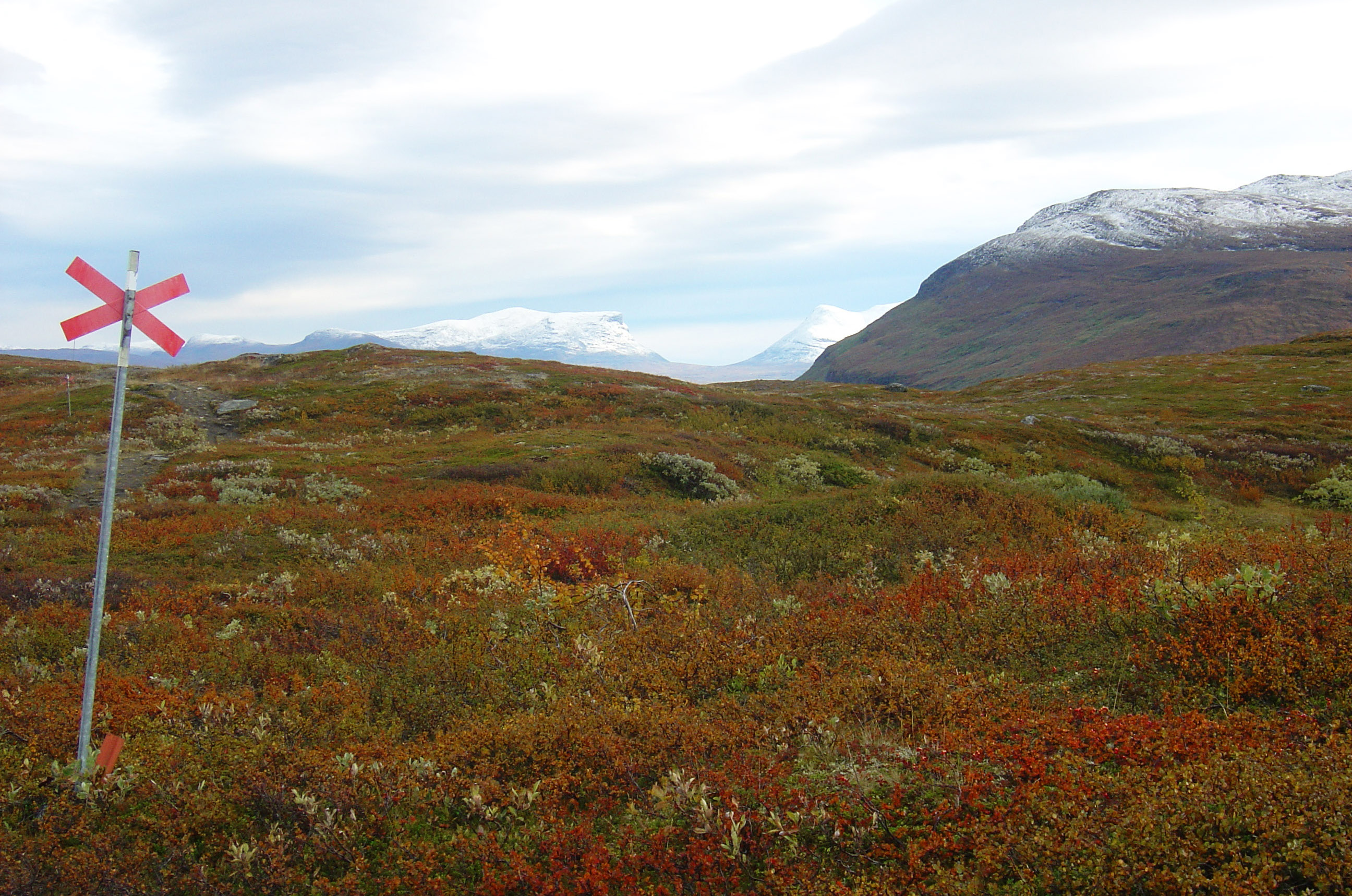 LEDNINGSGRUPP FJÄLL Ledningsgrupp fjäll har under hösten 2015 börjat arbeta fristående från ledningsgrupp vandring. Ledningsgruppen består av fyra personer samt en representant från kansliet.