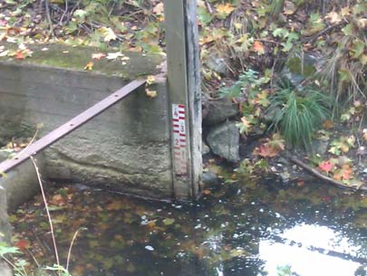 5(10) Bild nr 6: Bef