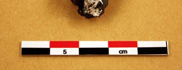 Metallografiska analyser F161 (från 1081, SV ugnsgropen) I tvärsnitt framträder en koncentration av metalliskt järn, ca 15 8 mm stor (Fig. 31).
