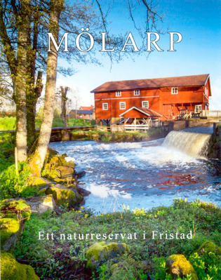 Ola Högberg. Det var inte en föreningsaktivitet, men flera föreningsmedlemmar har deltagit i arbetet med att skriva boken.