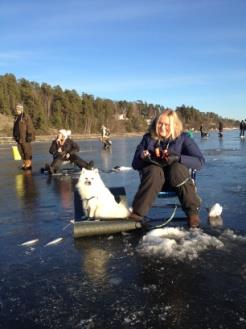 land. De som vill och har med sig extra kläder för att prova på att bada isvaksbad. Efter isvaksbadet finns det en uppvärmd bastu att värma upp sig i. Pris: 200 kr/vuxen och 100 kr/barn. Tid 9.