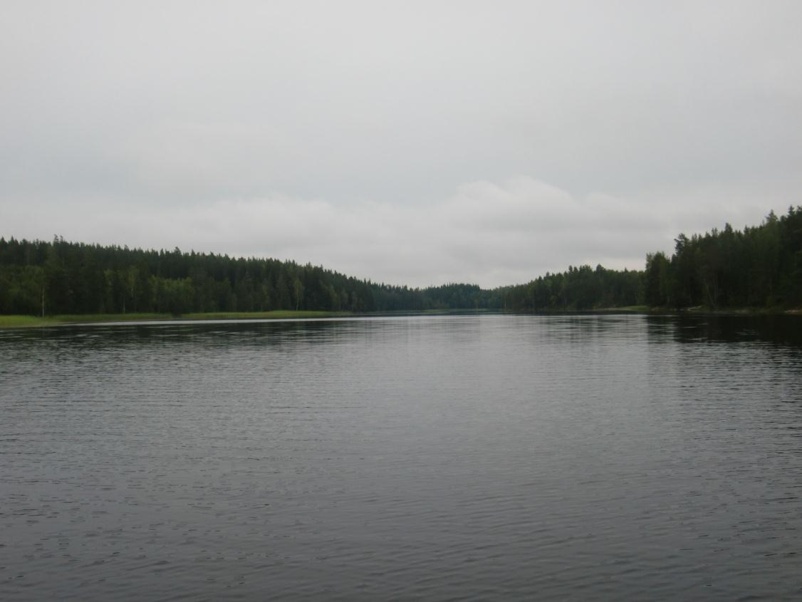 4.4 Nedre Gävjan 4.4.1 Kort sjöbeskrivning Nedre Gävjan är en 104 hektar stor sjö vilken belägen mellan Skinnskatteberg och Fagersta.