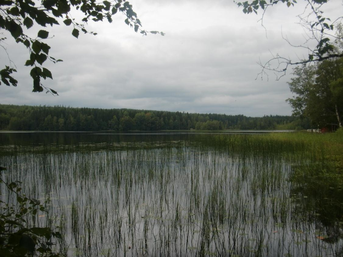 4.5 Onsjön 4.5.1 Kort sjöbeskrivning Onsjön är en 33 hektar stor sjö vilken ligger ca fem kilometer söder om Fagersta. Onsjön är oval till formen.