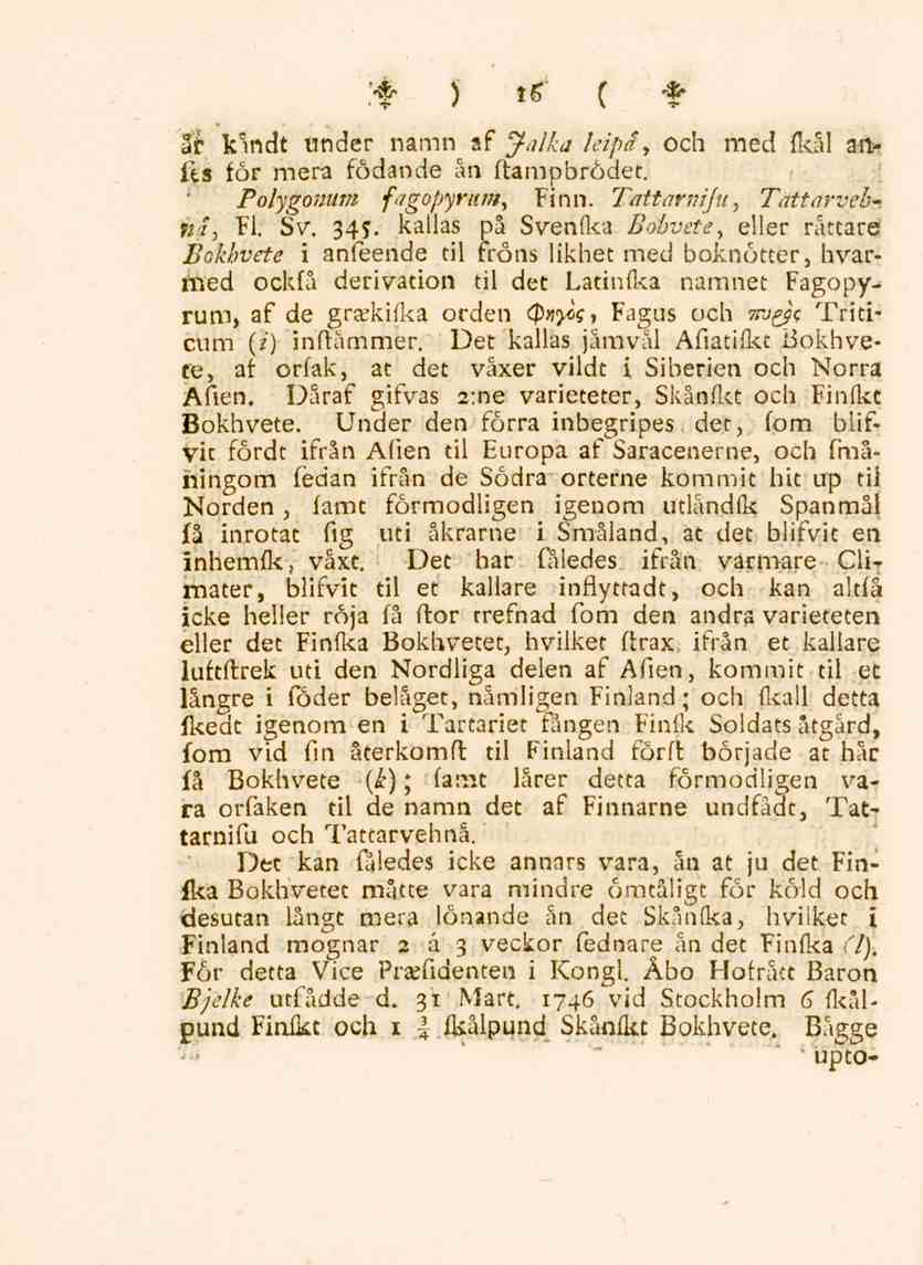 T- r VT 3r kändt tmder namn af Jalka leipd, och med (kål attits för mera födande ån ftampbrödet. Polygonum fagopyrum, Finn. Tattarnifu, Tattarvebnf, Fl. Sv. 34 j.