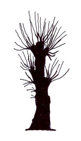 Grendiameter på hamlingsträd (Figur 3) En decimal Centimeter Genomsnittlig grendiameter i centimeter på hamlingsträd kring senaste hamlingspunkt.