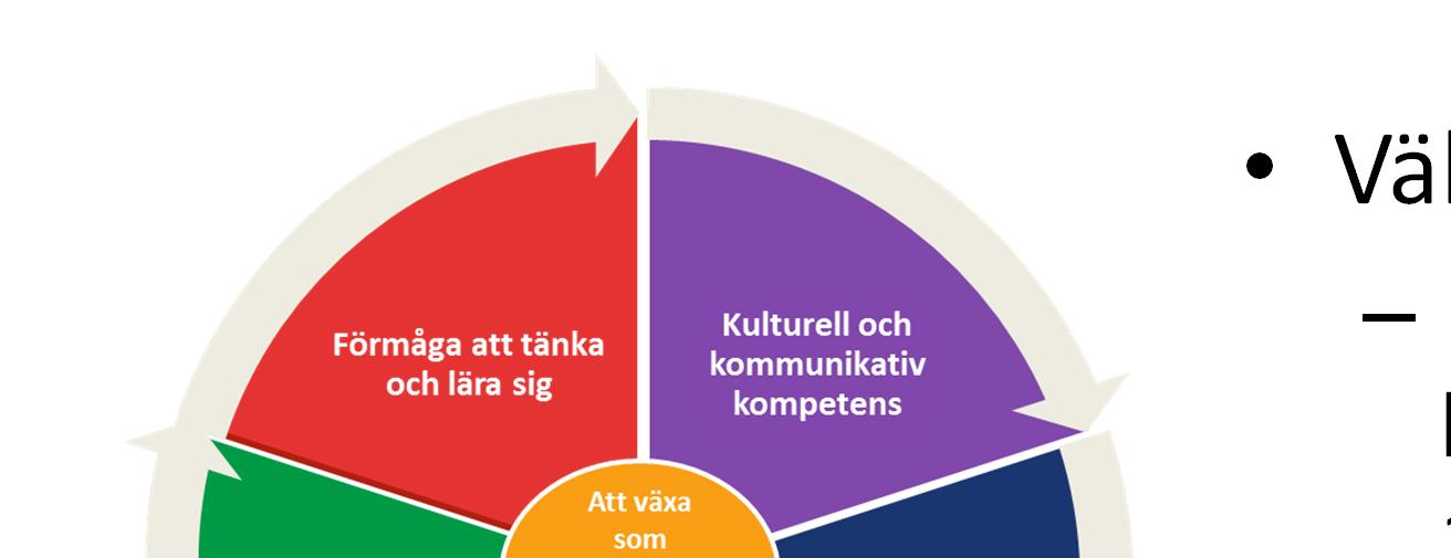 Välj en kompetens: vad