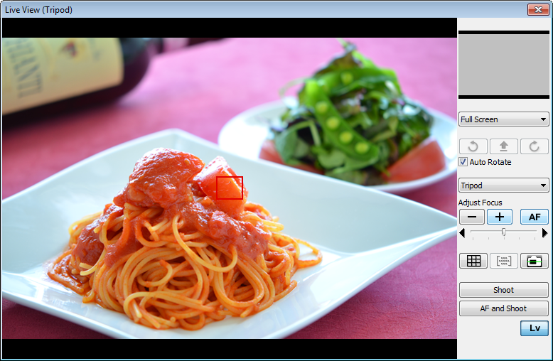 Online Dating kopiera pasta
