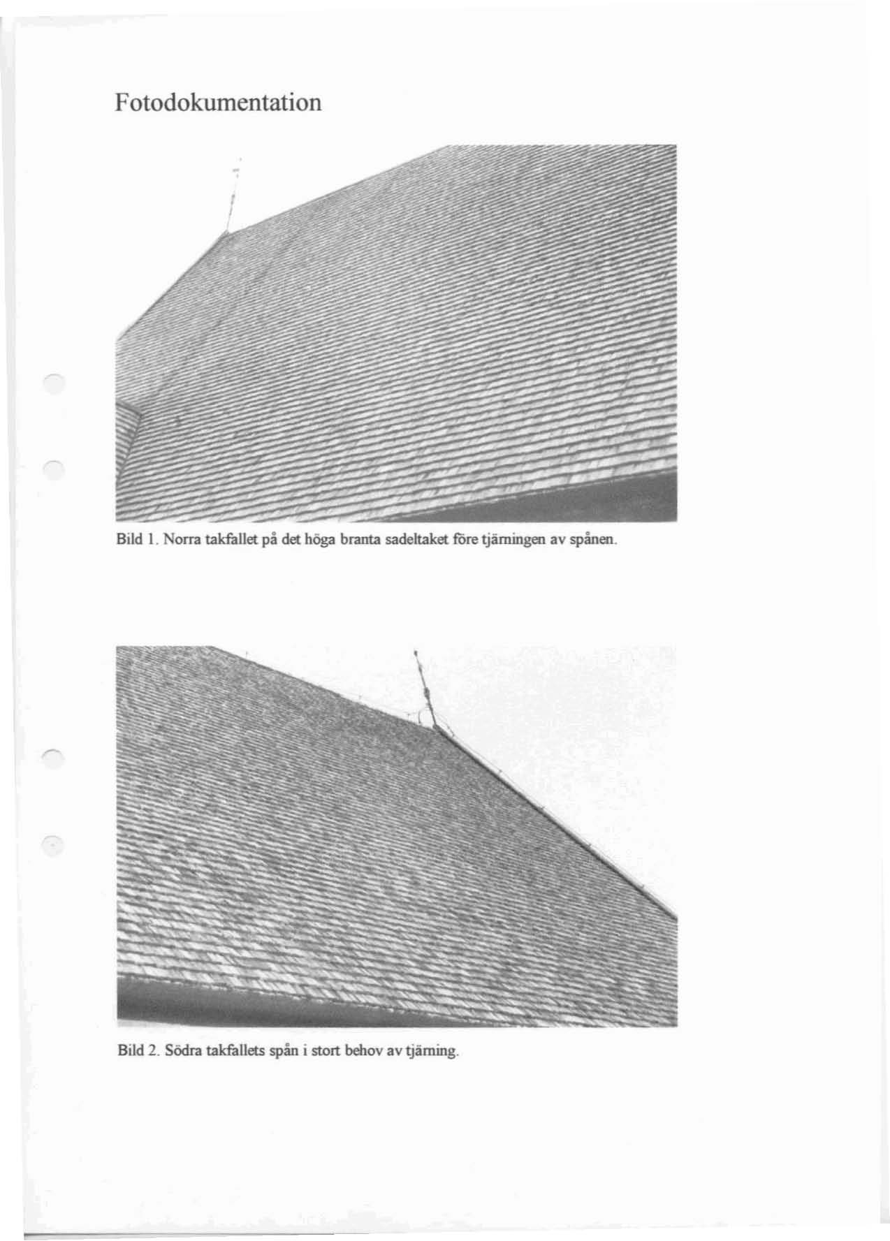 Fotodokumentation Bild 1.