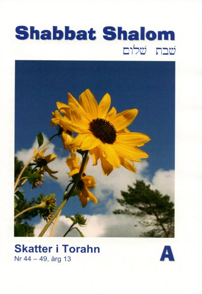 Mersmak? Du kan också få Shabbat Shalom hemsänd i din brevlåda helt utan kostnad. Utöver kommentarerna till veckans textavsnitt kan du bland annat läsa en aktuell artikel Önskar du ett provnummer?