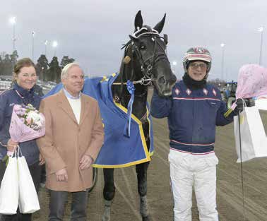 egentränade Origo Tilly efter en iskall