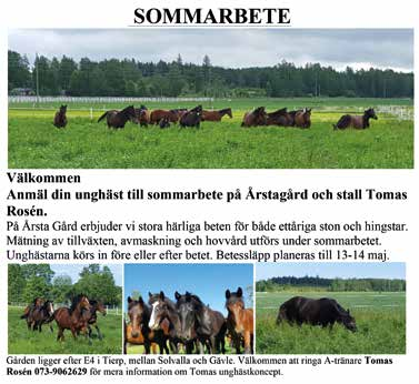 KUSKLIGA Segerrikaste på Gävletravet 07 Kusk Starter Etta Tvåa Trea Seger% Inkört (kr) Ulf Ohlsson (S) A 8 st: 4 5 4,3 % 89 600 Henrik Svensson (B) A 5 st: 40,0 % 4 800 3 Olle Alsén (G) A 7 st: 8,6 %
