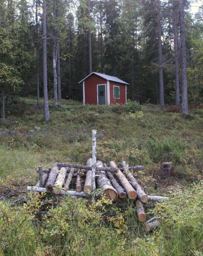 Bild 7. En av Västerbottens aktiva åtlar 2013 med åtelplats av mer avancerad modell. Åtelmaterialet ligger i en timrad ram. Mycket välstädad.