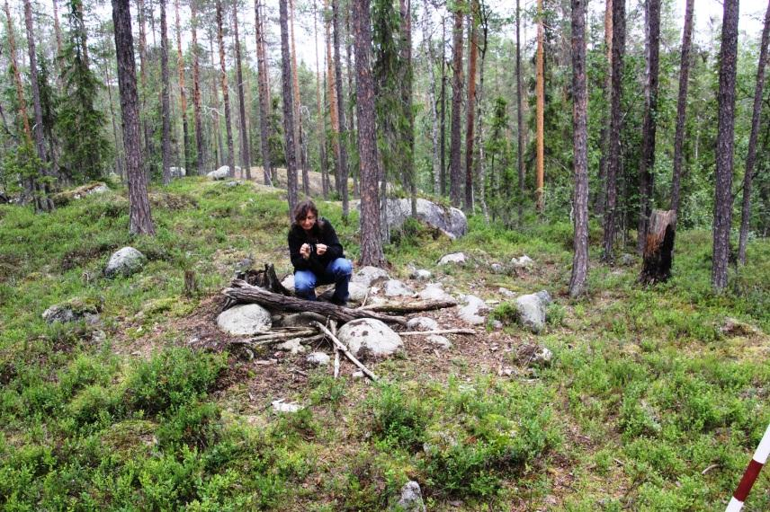 Forskning Skandinaviska Björnprojektet har under perioden 2010-2012 bedrivit ett större forskningsprojekt kring åtling av björnar.