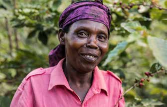 Rainforest Alliance och kaffe Klimatförändringar, låga inkomster och problem att locka en ny generation kaffeodlare är några faktorer som hotar tillgången på kaffe.