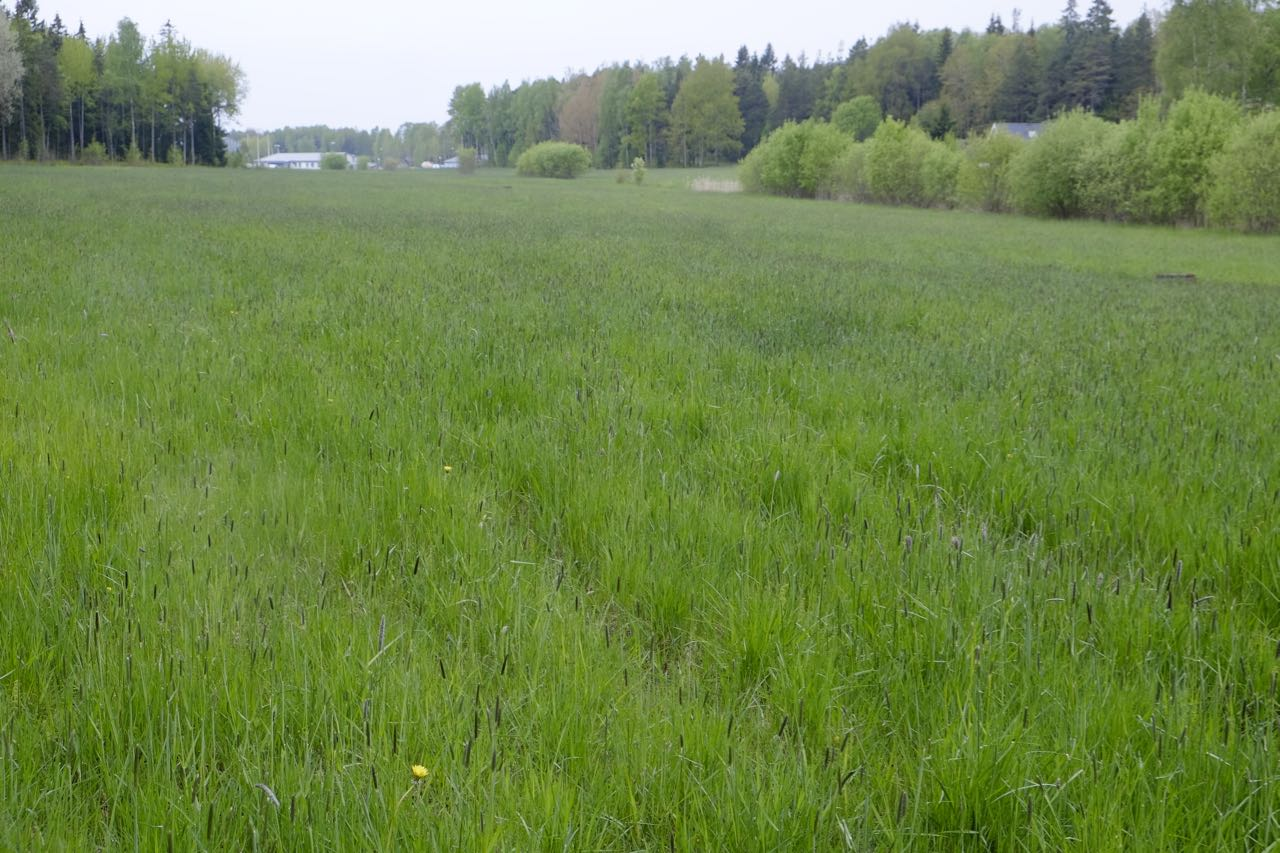 4.2 Delområde B Området består främst av en åker där det växer vall. I området finns ett öppet dike som omfattar det generella biotopskyddet. Foto över delområde B. 4.