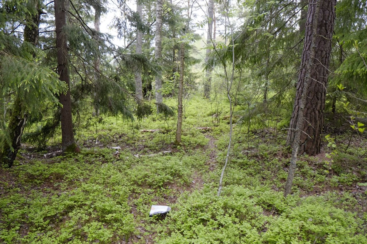 rikligt med stigar.