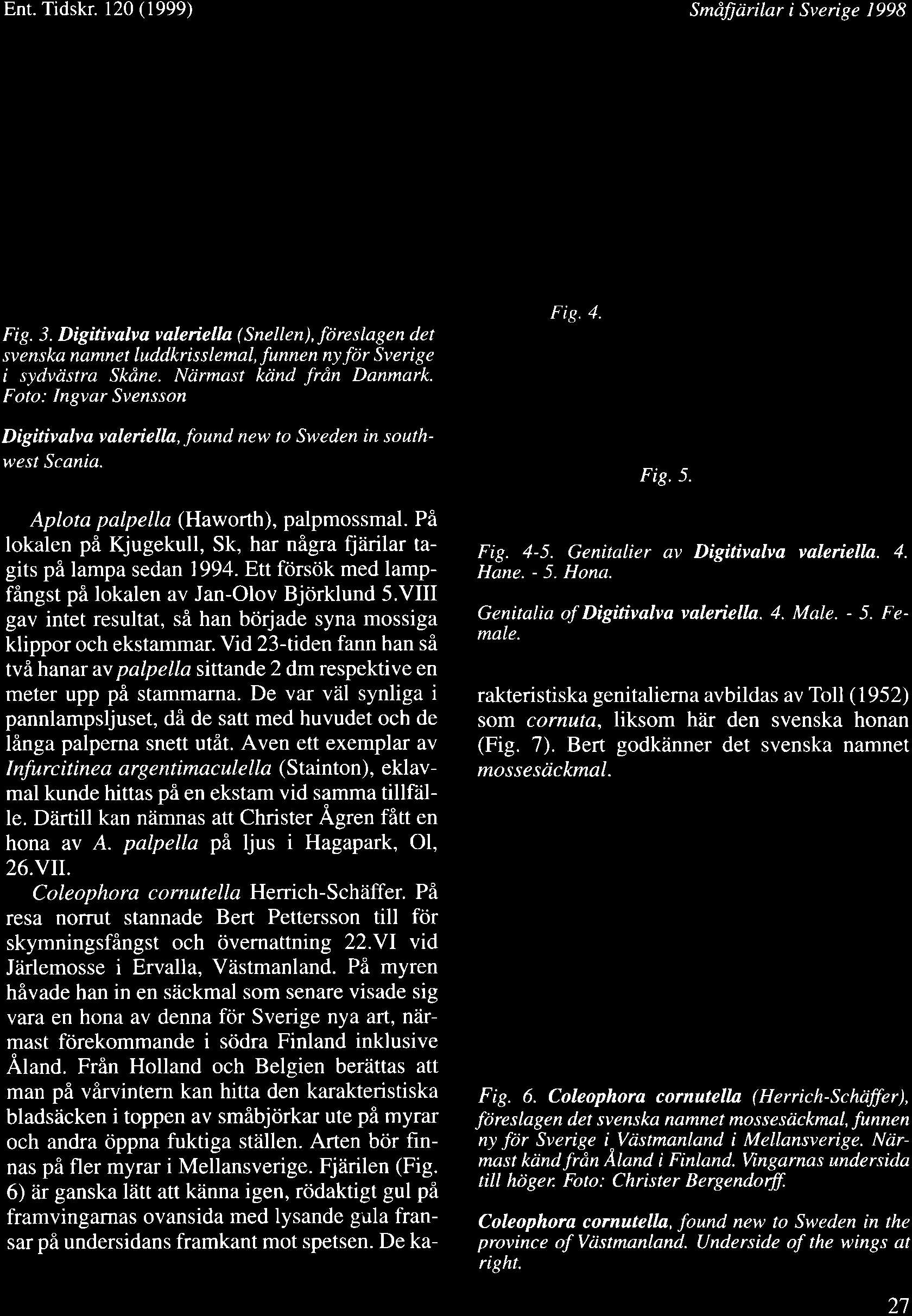 Ent. Tidskr. 120 (1999) Smdfiarilar i Sverige 1998 Fig. 3. Digitivalva valeriella ( Snellen), fdreslagen det svenska namnet luddkrisslemal, funnen ny fdr Sverige i sydvr)stra Skdne.