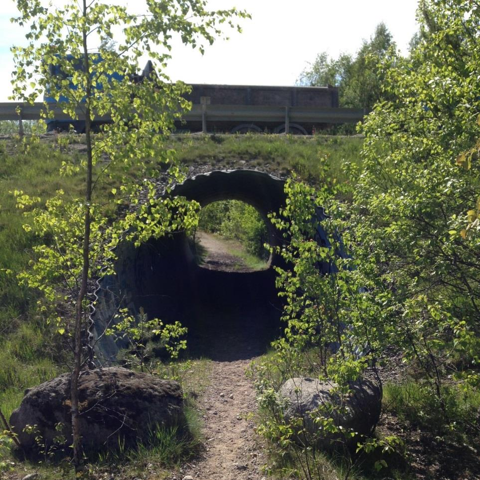 besökare. Med friluftsliv avses i detta sammanhang vistelse i naturen för naturupplevelser, fysisk aktivitet och avkoppling.