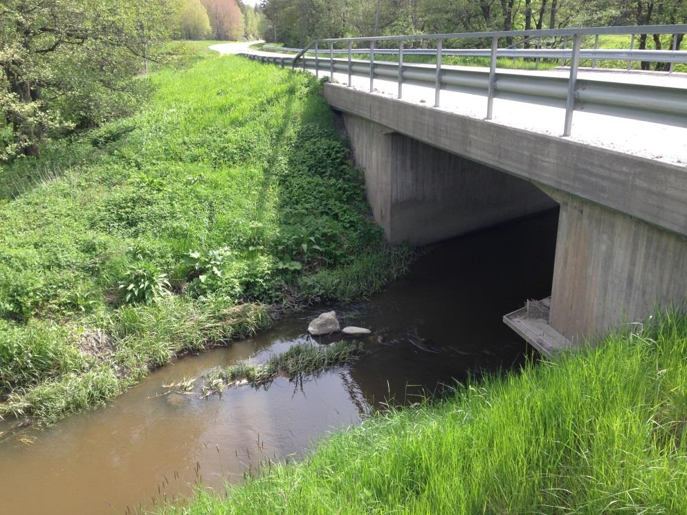 Figur 19. Södra passagen över Vitsån. Utterpassagen skymtar ovan vattenytan vid brostödet närmast i bild.. Den norra passagen över Vitsån bedöms inte medföra några konsekvenser avseende naturmiljön.