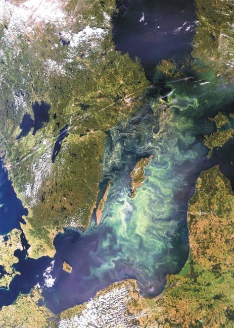 (8 av 9 Östersjöländer i EU) Ursprungligt initiativ från