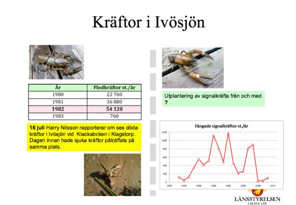 Signalkräfta nu